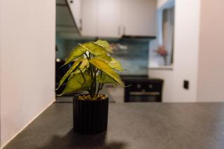 Glow Apartment Aleea Carpati Med & Sport - 7
