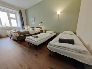 Flat in Zizkov -101- - Prag - 6
