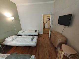 Flat in Zizkov -101- - Prag - 3