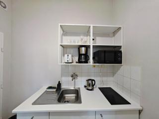 Flat in Zizkov -101- - Prag - 1