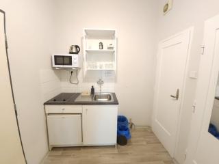 Flat in Zizkov -104- - 8