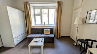 Flat in Zizkov -104- - 7
