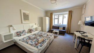 Flat in Zizkov -104- - 4