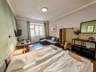 Flat in Zizkov -102- - 9