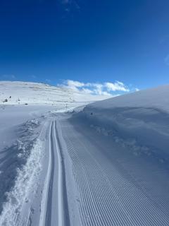 Moderne hytte i Engerdal Østfjell - 9