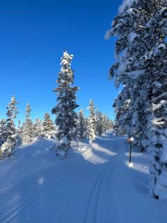 Moderne hytte i Engerdal Østfjell - 5