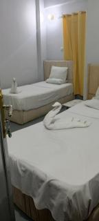 Bob Marley Peace hotel luxor - Luxor - 9