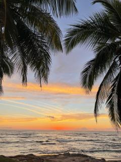 Villa Las Olas - 3