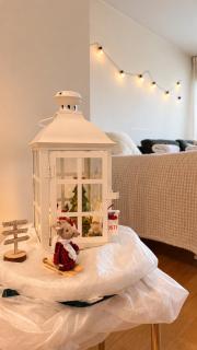 Reindeer Penthouse I Spacious - City Centre - 6