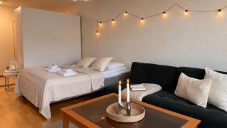 Reindeer Penthouse I Spacious - City Centre - 3