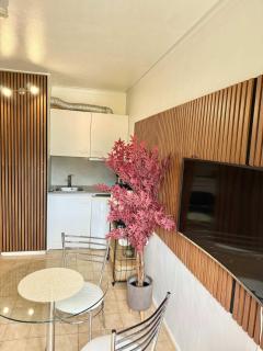 Le Messy - Studio design avec vue sur les montagnes - Cluses - 3
