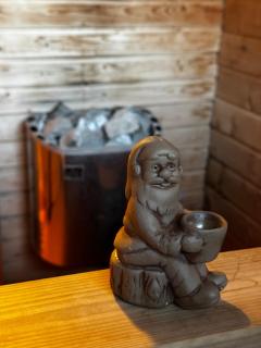 Northern Lights Farmhouse with Sauna - 9