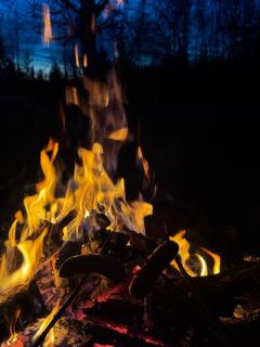 Northern Lights Farmhouse with Sauna - 7