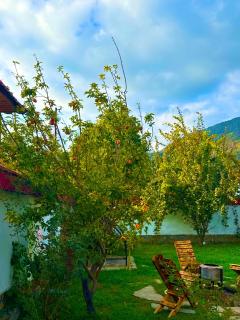 Kebele Green Mountain Heated Pool Villa - 2