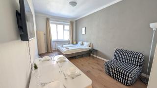 Flat in Zizkov -302- - 9