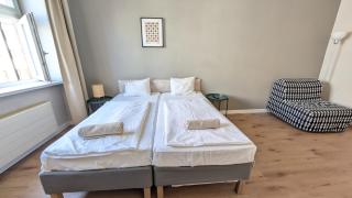 Flat in Zizkov -302- - 4