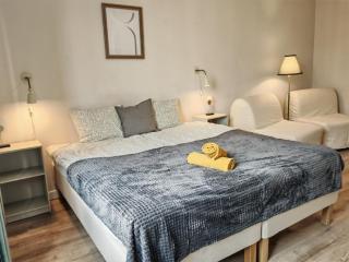 Flat in Zizkov -303- - 8