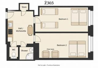 Flat in Zizkov -303- - 5