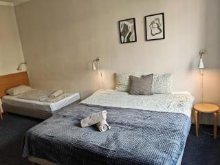 Flat in Zizkov -303- - 2