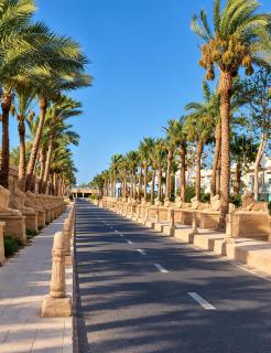 Hurghada Mirage Bay Hotel & Aquapark - 8