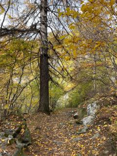 Chalet Cretaz - 8