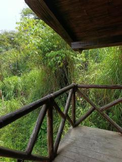 La CABAÑA EN LA NATURALEZA - 7