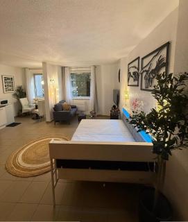 Le Cosy - Annemasse - Proche de Geneve - 0