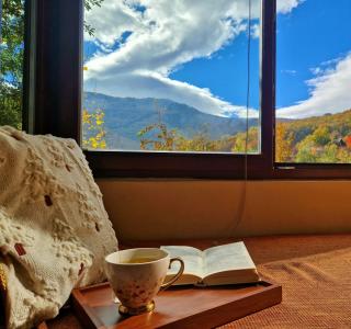 Chalet Mila - 0