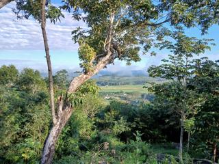 Villa 10 at Chial Reserve Exclusive Jungle Retreat - 9