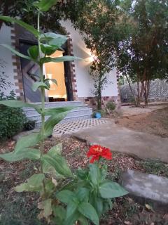 Fox mountain House - 6