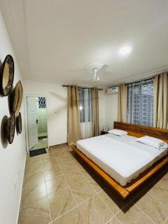 Charming & Spacious Apt in Accra - 5
