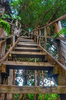 Tree Home Adventure - Isaka - 9