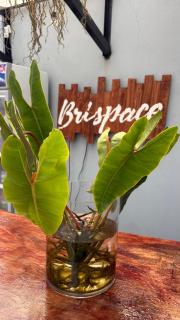 Brispace Inn - 9