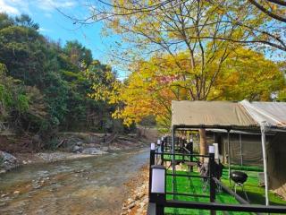 Gapyeong Starry Night Glamping - 1