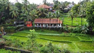 Lotus Guesthouse Sudaji - 1
