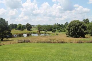 The southern brick family farm - Holiday Home - 7