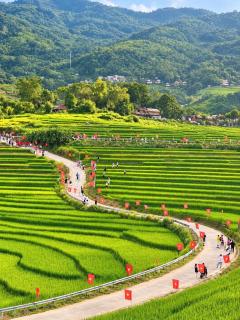 Trung Nhay Homestay Pu Luong - 9
