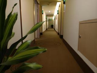 GreenTree Inn Xuancheng Jingxian Wannan First Street Express Hotel - 9