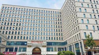 Vienna International Hangzhou Future Science City - 6