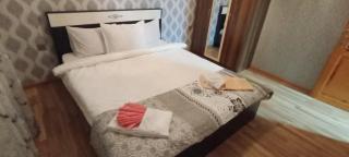 Ismayilli Nature & Relax House - 6