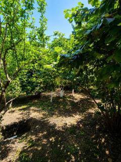Ismayilli Nature & Relax House - 3