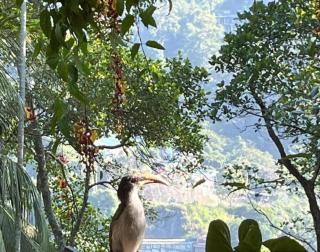 Green Escape Homestay - 4