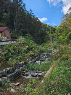Forest Hoengseong - 6