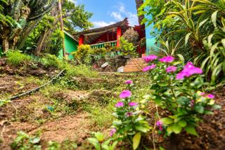 Ormal Guest House - Agonda - Blue - 7
