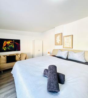 Charming 2BR & LR House with Terrace Near Vienna - 8