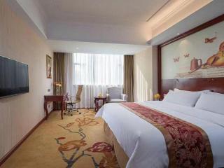 Vienna Hotel Guangdong Zhongshan Ancient Town Lighting Expo Center - 8