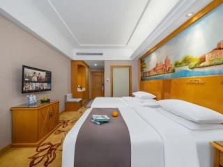 Vienna Hotel Tianjin Zhongbei Town - 2