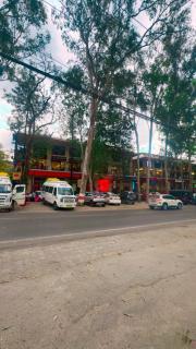 Pine AND Peak Mussourie Hills View - 6