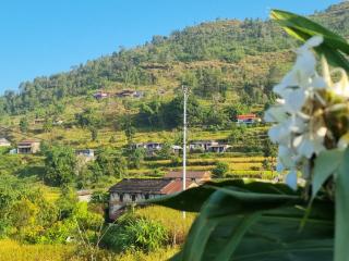 Kaskikot Holiday Homes - 4