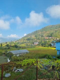 Kaskikot Holiday Homes - 1